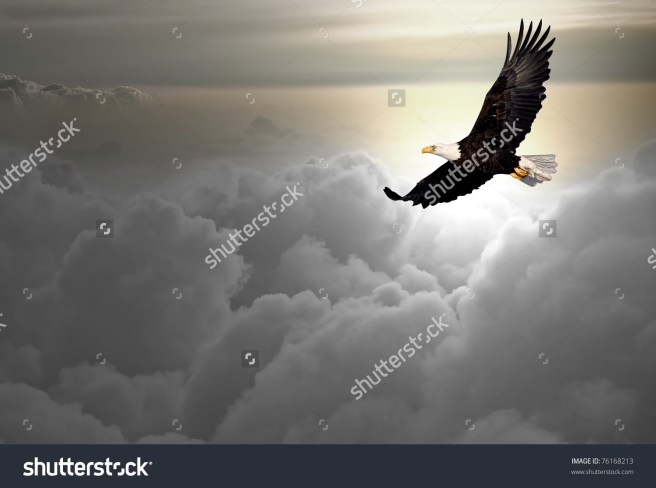 stock-photo-bald-eagle-flying-above-the-clouds-76168213