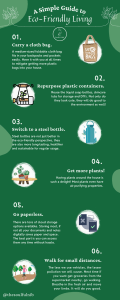 A Simple Guide to Eco-Friendly Living – The Soulful Nib